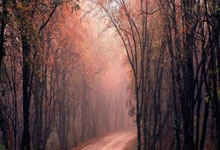 韦德体育入口：巴黎公布首发：姆巴佩、李刚仁出战 登贝莱替补.