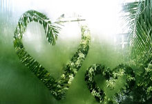 佩裏西奇 出生於克羅地亞的銳利邊鋒.